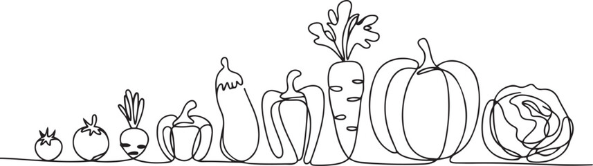 Continuous one line drawing. Vegetables different size from small till big.one line  vector illustration  with out background