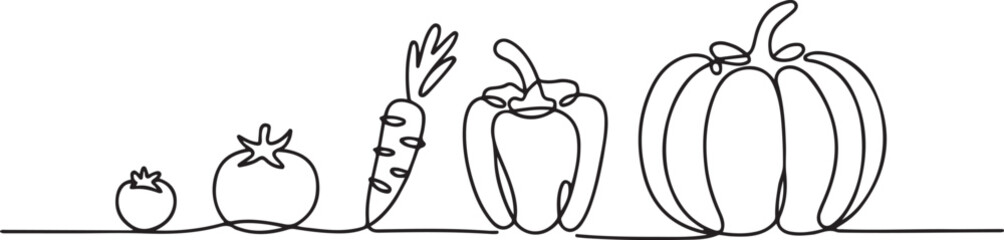 Continuous one line drawing. Vegetables different size from small till big.one line  vector illustration  with out background