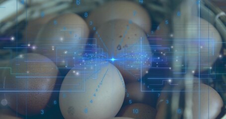 Displaying cluster of chicken eggs nesting in wicker basket on kitchen shelf, with blue HUD overlay