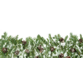 Snow covered fir branches with pine cones forming dense lower border on clean white background, natural evergreen winter garland with wide copy space above, perfect for Christmas greeting cards, 