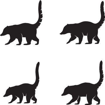 Four black silhouette images of coatis walking on a white background