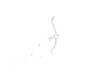 Cute Cross Illustration with Soft Emotions