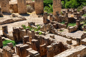 Ruins of the ancient city of Carthage