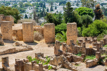 Ruins of the ancient city of Carthage