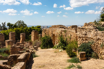 Ruins of the ancient city of Carthage