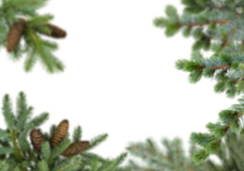 Fir tree branches with cones forming soft focus corner frame on white background, blurred edges and copy space creating elegant winter and Christmas layout for greeting cards, posters, invitations, 