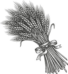 Sheaf of wheat stalks tied with a ribbon representing harvest and agriculture.