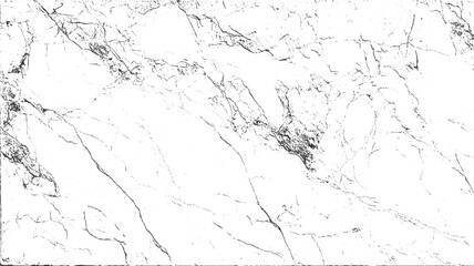Black and white abstract texture with fine lines and dots background