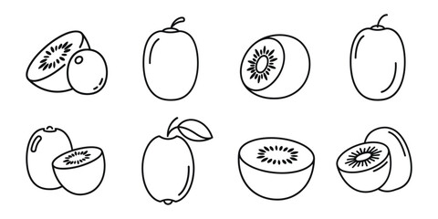 Kiwi line art vector illustration