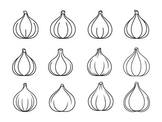 Fig line art vector illustration