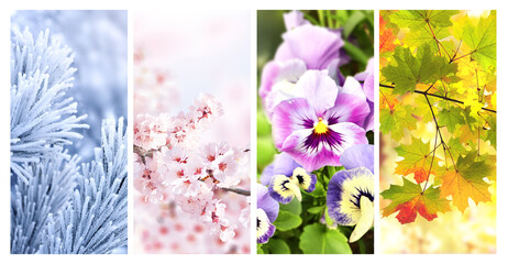 Set of nature banners depicting natural world. Four season of year. Each one features scene of nature, from snow of winter to vibrant leaves of fall. Perfect  for showcasing of changing seasons