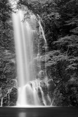 箕面の滝の風景