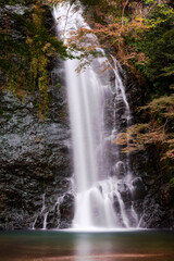 Fototapeta premium 箕面の滝の風景