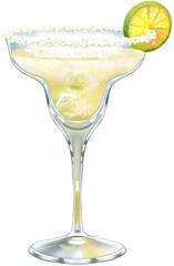 Margarita Cocktail Illustration