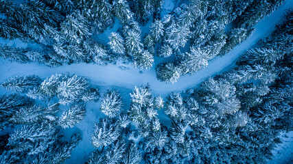 Aerial view of a snow-covered forest in winter mountains