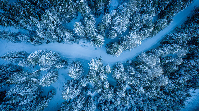 Aerial view of a snow-covered forest in winter mountains