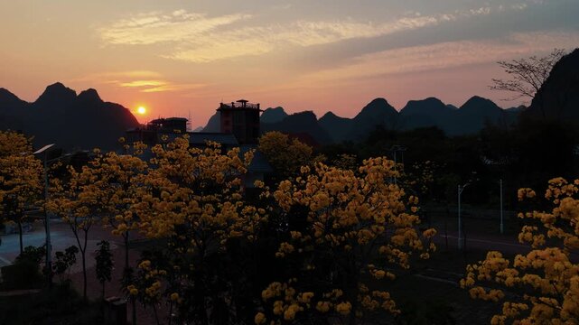 Spectacular Sunset Over Golden Trumpet Trees in Remote Chinese Village
