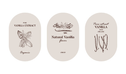 Vanilla labels collection in vintage style