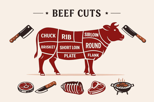 vector illustration of a beef cuts