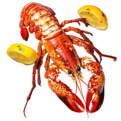 Fresh cooked red lobster with lemon slices isolated on transparent background