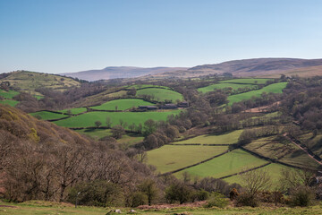 A sweeping landscape of rolling green fields and wooded hills beneath a clear blue sky in Carmarthenshire, Wales