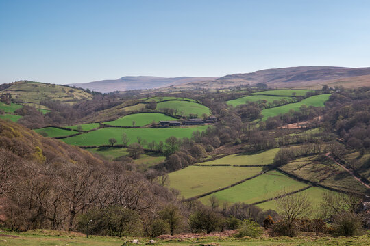 A sweeping landscape of rolling green fields and wooded hills beneath a clear blue sky in Carmarthenshire, Wales