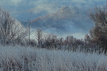 Foggy chilly morning in the country