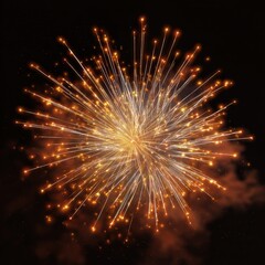 Fototapeta premium Brilliant orange firework burst against night sky