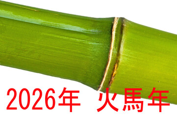 Happy New Year, year of the fire horse 2026