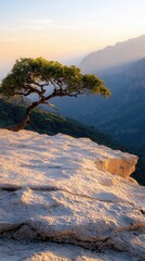 A lone tree grows on the edge of a cliff, overlooking a vast mountain range. The image is bathed in the warm light of the setting sun.