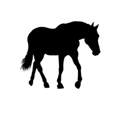  Silhouette of  horse, side view—vector illustration