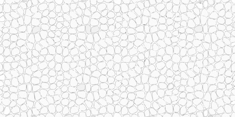 Abstract white cell pattern background with irregular shapes and thin black lines