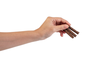 Chocolate bar in hand on transparent background