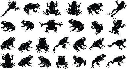 Collection of detailed frog silhouette illustrations showing various poses, movements, and angles, perfect for nature graphics, wildlife designs, and educational projects