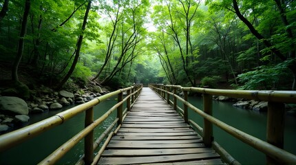 a wooden bridge that crosses a river in the middle of the forest