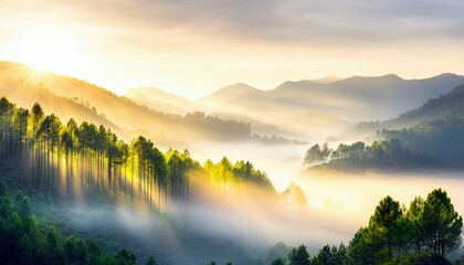 A scenic landscape featuring a forest of trees on a mountain, illuminated by the sun's rays, with fog in the valleys.