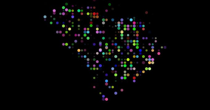 Data Visualization Particle South Carolina State Shape