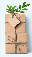 Two stacked gift boxes wrapped with twine, adorned with a blank tag and green leaves, against a light blue background.