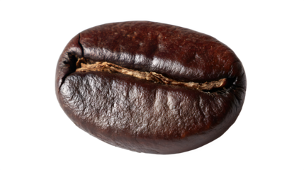 A single roasted coffee bean displayed against a stark black backdrop in a detailed close up shot