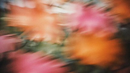 Abstract floral background with vibrant colors creating a blurred effect, showcasing the beauty of nature and evoking a sense of tranquility and peace