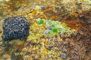 Dallol Geothermiefeld in der Danakilwüste - Äthiopien
