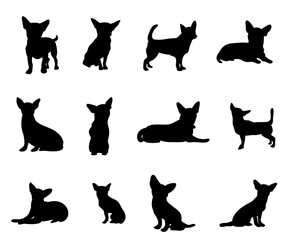 Ciwawa animal poses animal silhouette