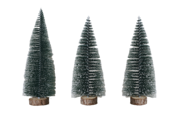 Miniature snowy Christmas trees on white background