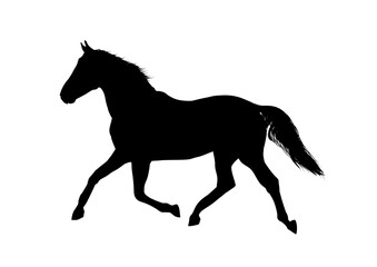 Silhouette of a running horse, side view—vector illustration