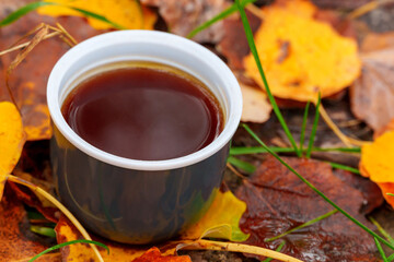 A cup of coffee in autumn leaves in forest, hiking, beautiful landscape in fall season
