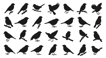 A large and diverse collection of small bird silhouettes in various poses like perching standing and flying on a white background.