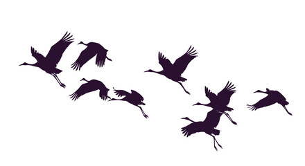 A flock of crane silhouettes flying and landing in a dynamic arrangement of graceful poses isolated on a white background for design.