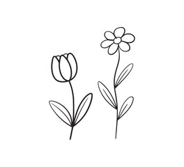 Outline tulip and daisy flowers on white background