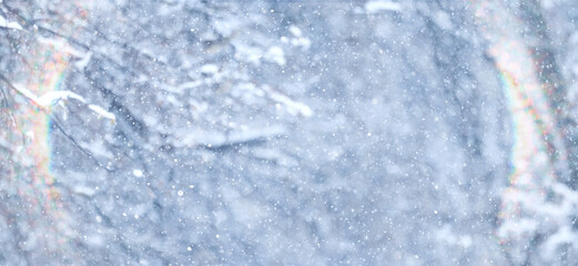 Winter park, abstract background, snow, blurred trees, festive backdrop