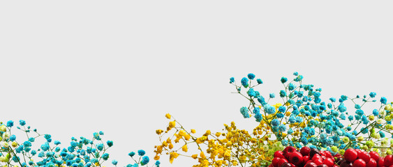 Rainbow colorful Baby's-breath Gypsophila wallpaper. Painted flowers wallpaper, preserved flowers...